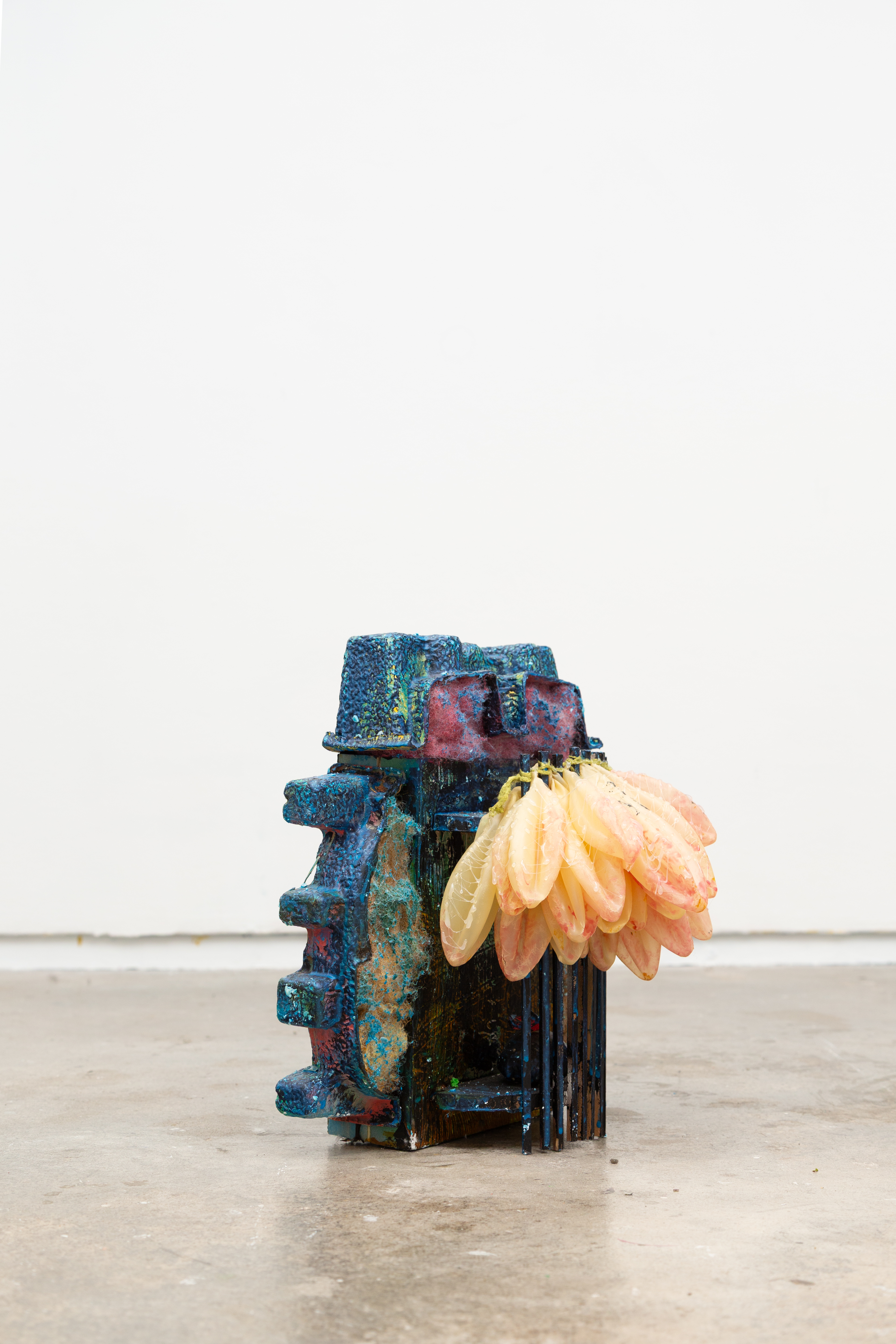 Science Drops New Fish