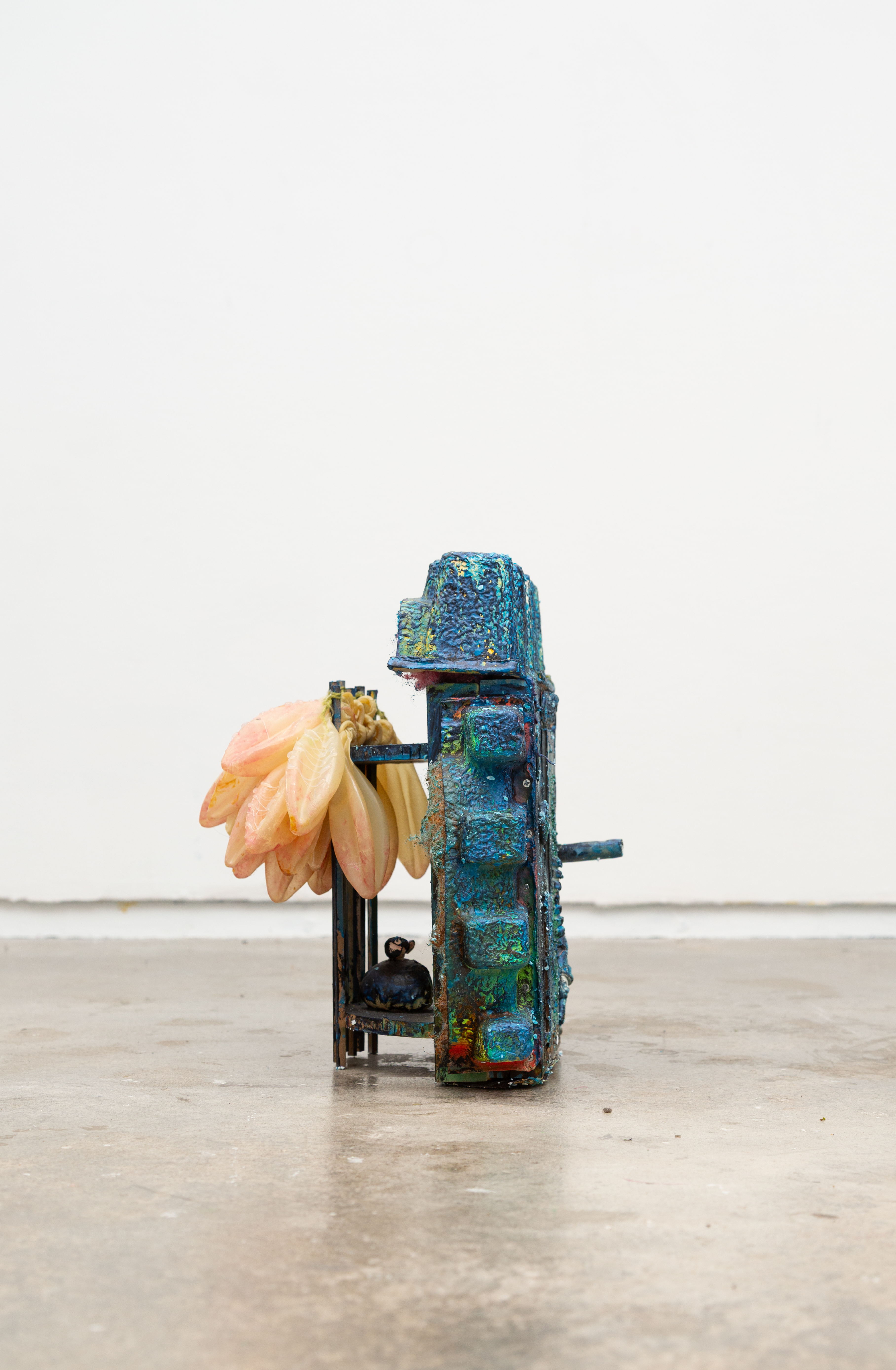 Science Drops New Fish