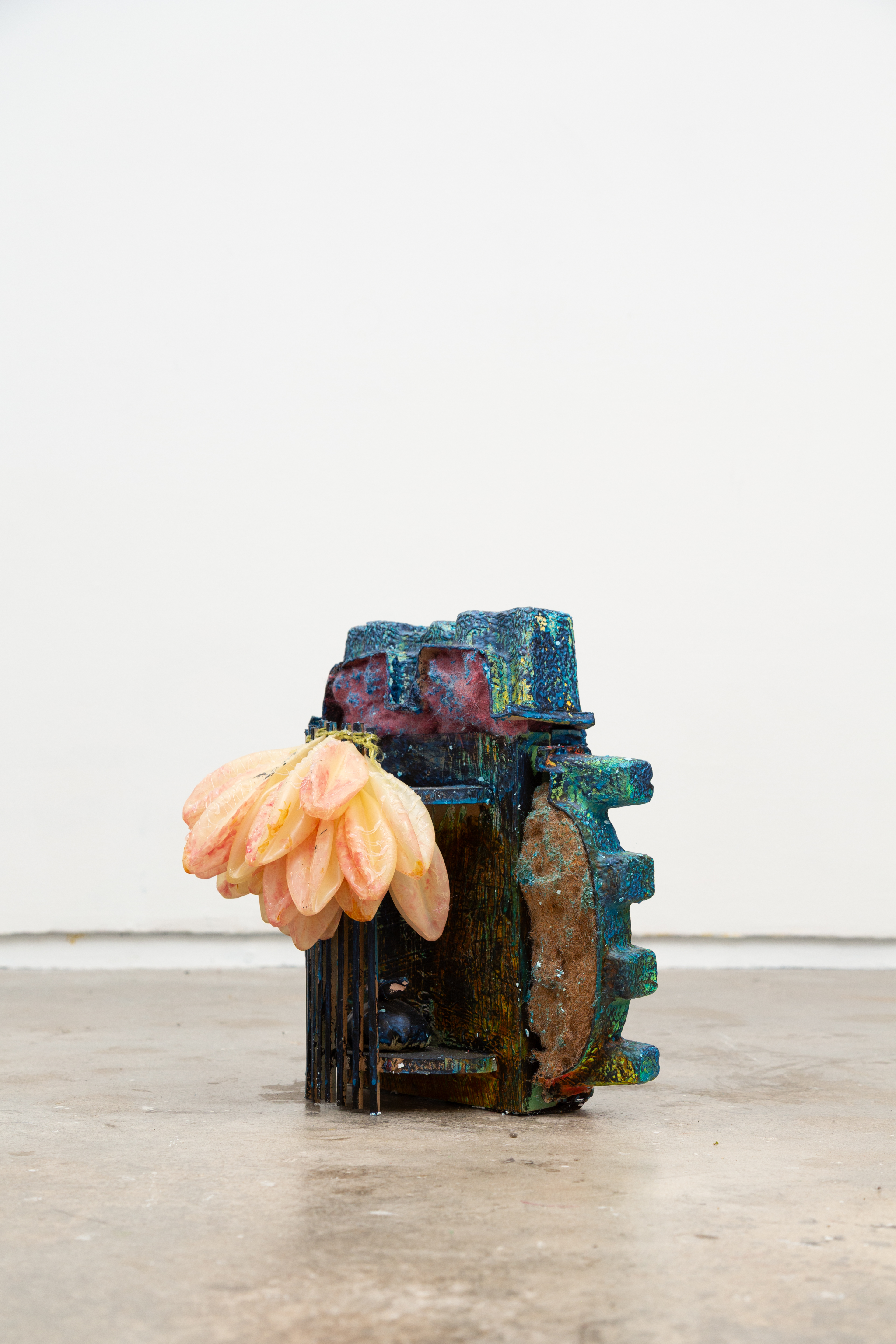 Science Drops New Fish